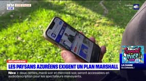 Alpes-Maritimes: les agriculteurs réclament un plan Marshall pour la sécheresse