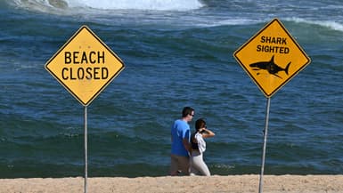 Des panneaux indiquent qu'une plage est fermée après qu'un surfeur a été tué par un requin à Sydney, en Australie, le 6 septembre 2025