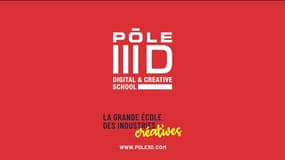 Pôle 3D : Expert pour la formation en animation, illustration et jeux vidéo