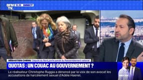 Quotas: un couac au gouvernement ? (2)  - 06/11