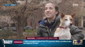 Aux États-Unis la situation s'aggrave par l'absence de confinement au niveau fédéral