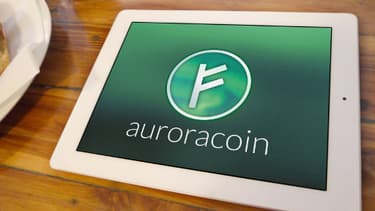 Les auroracoins s'échangent actuellement pour un peu plus de 11 dollars sur internet.