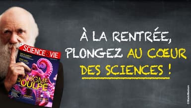 Science & Vie fait sa rentrée, abonnez-vous pour seulement 3€99/mois, sans engagement !