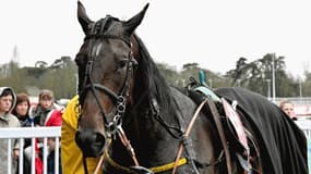 Earl Simon triomphe