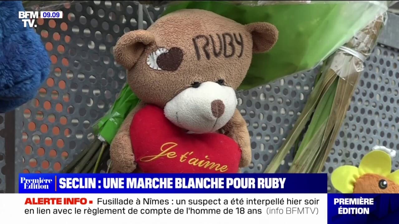 Une marche blanche organisée aujourd'hui à Seclin, dans le Nord, après ...