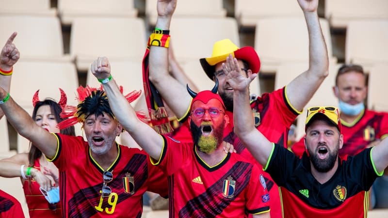 Euro 2021: des supporters belges fêtent la défaite des Bleus, un drapeau brûlé