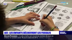 Aix-en-Provence: les enfants découvrent les fossiles au musée