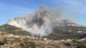 Bouches-du-Rhône : énorme incendie de broussailles à Luminy - Témoins BFMTV