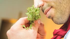 Image d'illustration - Une personne en train de sentir une plante