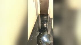 Plusieurs centimètres d'eau ont envahi le sous-sol d'un immeuble du 7e arrondissement à Lyon.