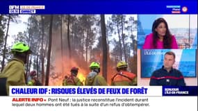 En cas de fumée suspecte en forêt d'Ile-de-France, un seul réflexe, contacter les pompiers 