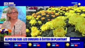 Que planter dans les jardins des Alpes du Sud? Les conseils d'une horticultrice de Valserres