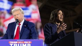 Donald Trump à Reading (Caroline du Nord) le 4 novembre 2024 et Kamala Harris à East Lansing (Michigan), le 3 novembre 2024. Montage photo. 
