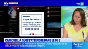 Canicule: à quoi s'attendre dans les prochains jours dans les Alpes-Maritimes?