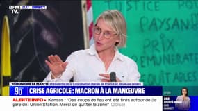 "Je pense qu'il n'a pas tout compris": Véronique Le Floc’h (présidente de la coordination Rurale) évoque sa rencontre avec Emmanuel Macron à l'Élysée