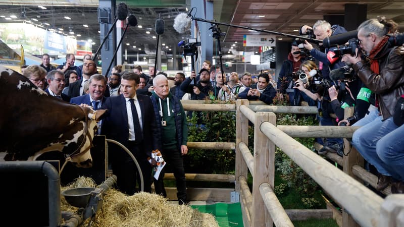 "Des candidats à la présidentielle arrivaient avec des délégations de 80 personnes": pas plus d'un jour, pas de tractage, 25 accompagnants au maximum... Le Salon de l'agriculture serre la vis des visites des politiques