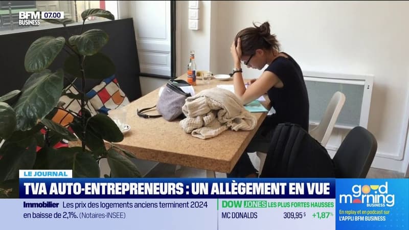 TVA auto-entrepreneurs : un allègement en vue