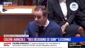 Crise agricole: Sébastien Lecornu annonce "mobiliser l'ensemble des vétérinaires de nos armées" pour accélérer la vaccination 