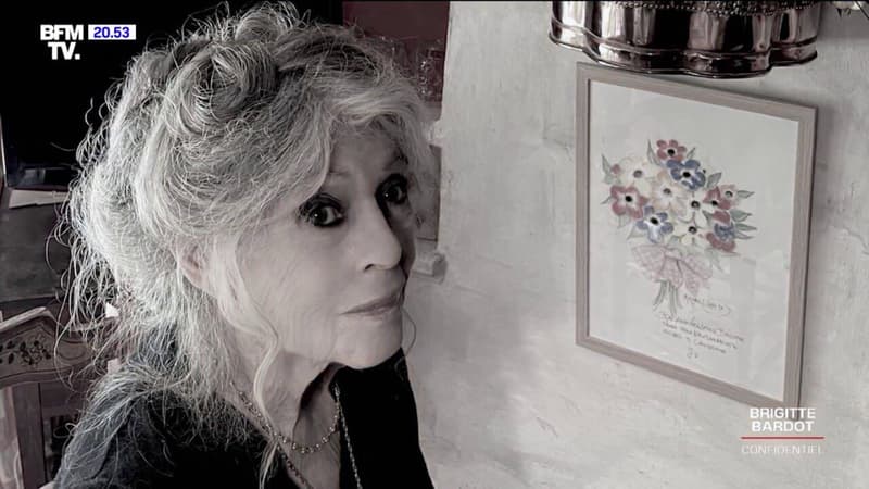 Brigitte Bardot: une femme de 88 ans au mode de vie sain et dépouillé