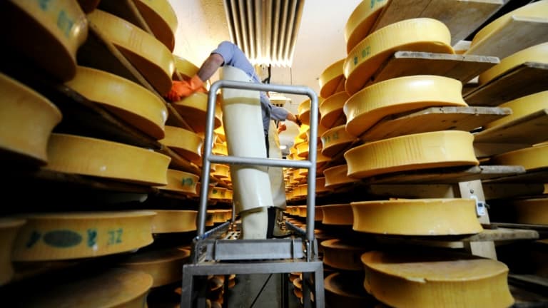 Si quelques heures suffisent pour transformer le lait en fromage, ce sont parfois plusieurs semaines de travail des bactéries et levures qui font émerger le goût, la texture ou la croûte du fromage au lait cru
