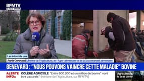 Dermatose nodulaire bovine: "Nous avons suffisamment de doses de vaccin", déclare Annie Genevard, ministre de l'Agriculture 