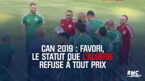CAN 2019 : Favori, le statut que l'Algérie refuse à tout prix