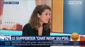 Théo, le supporter "chat noir" du PSG