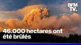 L’Ouest des États-Unis frappé par de violents incendies depuis un mois 