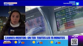 Alpes-Maritimes: un TER toutes les 15 minutes sur la ligne Cannes-Menton