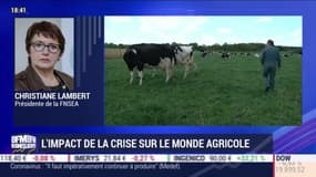 Édition spéciale : l'impact de la crise sur le monde agricole - 20/03