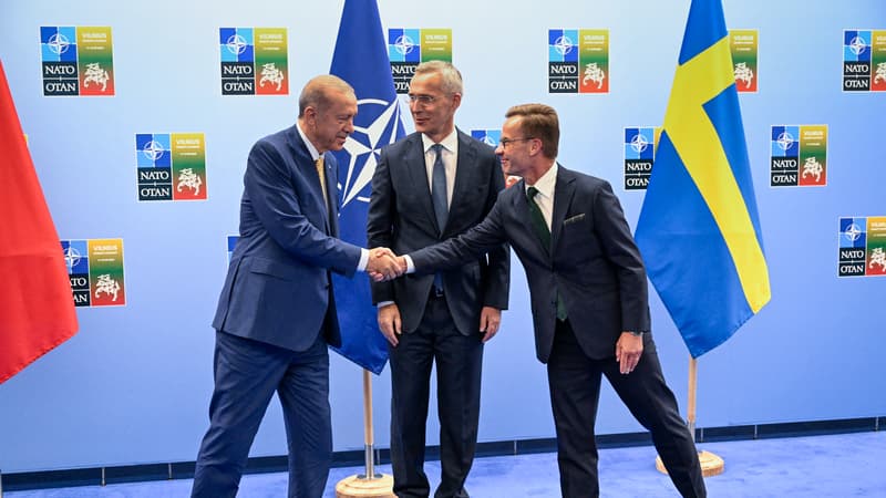 Suède dans l'Otan: que change l'entrée d'un nouveau pays dans l'alliance militaire?