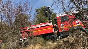 Des pompiers mobilisés pour éteindre l'incendie de la forêt du Sapet. 