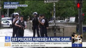 "Un collègue blessé par un coup de marteau", indique le Syndicat Alliance police nationale 