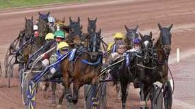 Les pronos hippiques du lundi 30 juillet 2024