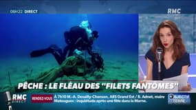 Objectif Terre : Pêche, le fléau des "filets fantômes" - 11/08