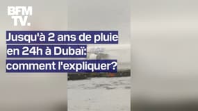 Jusqu'à deux ans de pluie en 24h à Dubaï: comment expliquer un tel déluge?