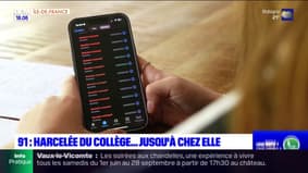 Essonne: victime de harcèlement scolaire et de cyberharcèlement, un collégienne porte plainte