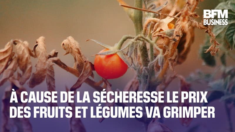 À cause de la sécheresse le prix des fruits et légumes va grimper