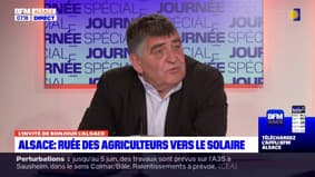 Alsace: quelles sont les raisons qui poussent les agriculteurs à passer aux panneaux solaires ? 