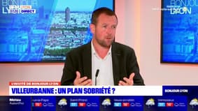 Rhône: l'amplitude horaire d'illumination des bâtiments bientôt réduite à Villeurbanne