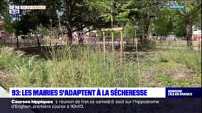 Les municipalités franciliennes font face à la sécheresse qui s'installe
