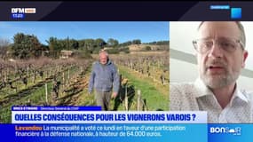 Var: après les droits de douane imposés par Donald Trump, les vignerons veulent diversifier leurs exportations