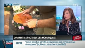 Dupin Quotidien : Comment se protéger des moustiques ? - 04/07