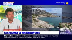 Secrets de Provence: à la découverte de la calanque de Marseilleveyre