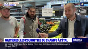 Après la récolte du matin à Gattières, les courgettes sont en vente 
