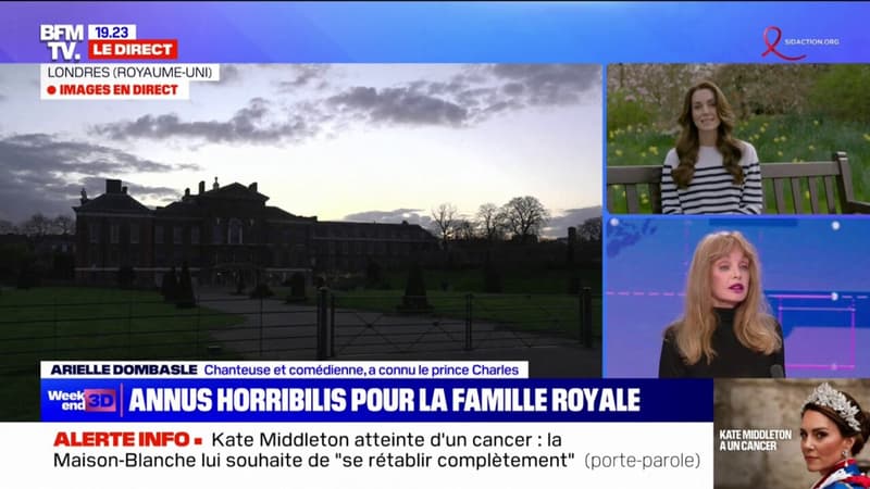 Arielle Dombasle sur le cancer de Kate Middleton: 