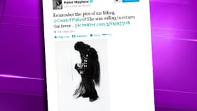 Le compte Twitter de Peter Mayhew, qui incarne Chewbacca dans la saga Star Wars.