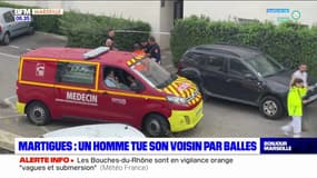 Martigues: un homme tue son voisin par balles, le suspect gravement blessé