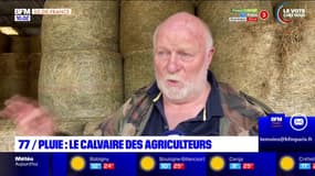 Seine-et-Marne: le calvaire des agriculteurs après les épisodes de pluie