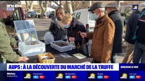 Aups: découvrez le marché de la truffe